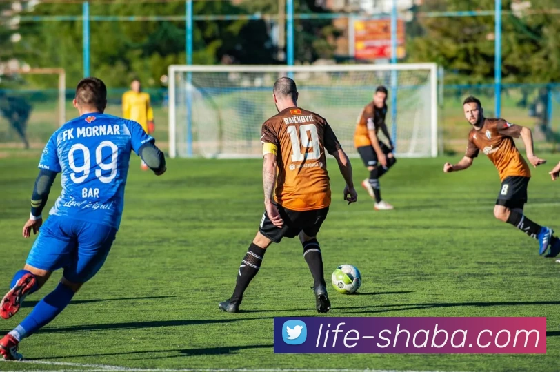 沙巴官方网站平台生态图