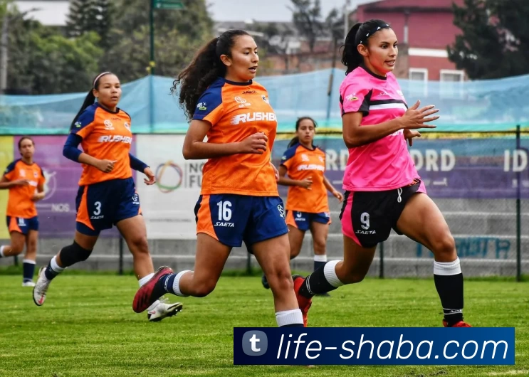 沙巴官方网站全站App